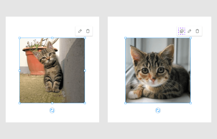 The select image button is absent.