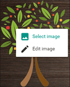 Selecting new image.